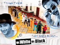 Mr. White Mr. Black (2008) movie wallpapers - 10