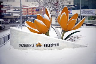 Sultanbeyli Belediyesi Logo İstanbulensis Çiçeği 