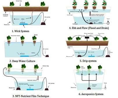 What are the 6 types of hydroponics?