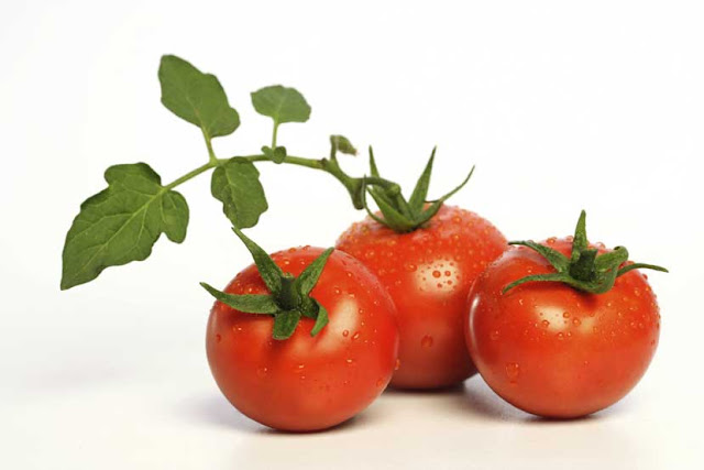  Manfaat Buah Tomat Bagi Kesehatan dan Kecantikan