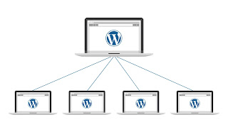 How To Install WordPress Multisite With Different Domains