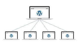 How To Install WordPress Multisite With Different Domains