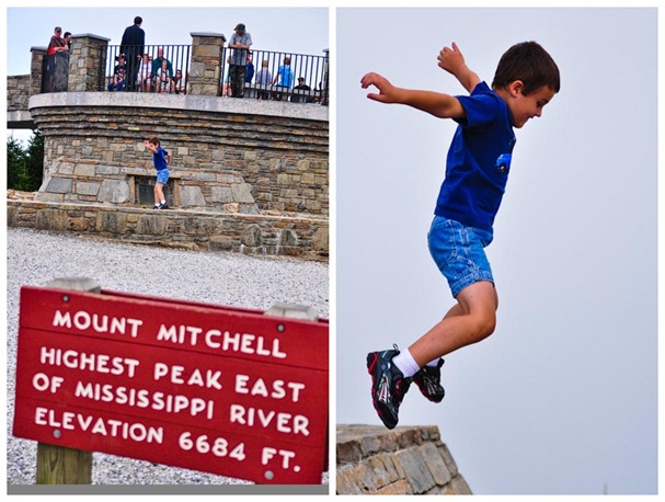 mount mitchell