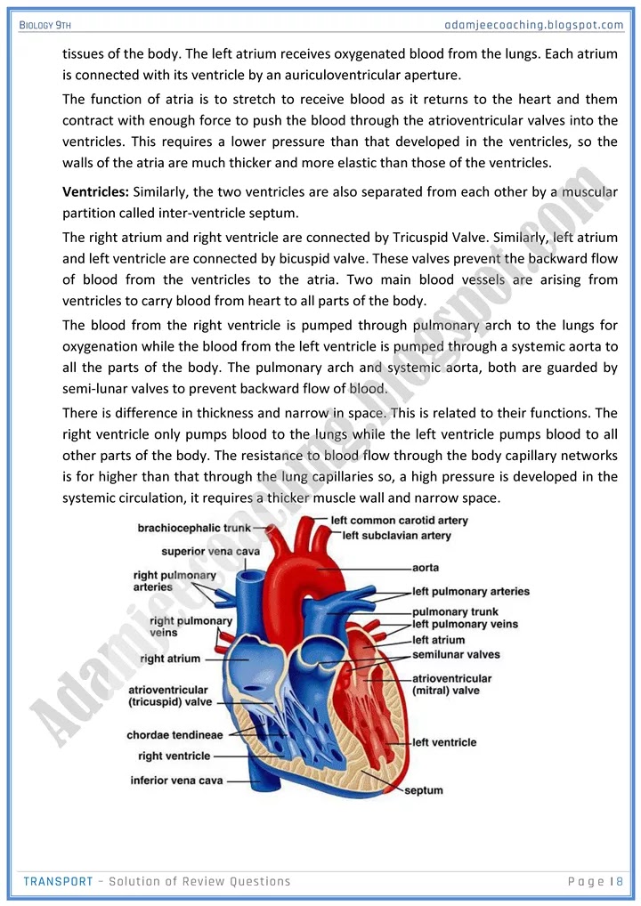 transport-review-question-answers-biology-9th