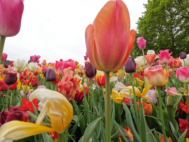 www.jetjesdag.nl | Model Henriëtte Sibie | Nicolaas/S fotografie | Jetje gaat naar de Keukenhof |