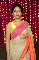 Anu Emanuel Looks Super Cute in Saree ~  Exclusive Pics 047.JPG