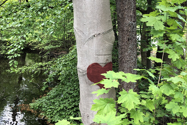 Herz in Baum geritzt und angemalt