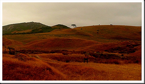 Golden Bay_Cape Farewell (1)