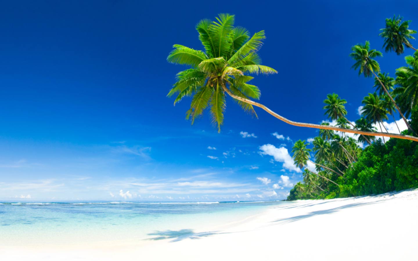 Vanuatu beaches  Style My Beach