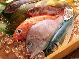 Manfaat Snack Ikan Laut untuk Kesehatan