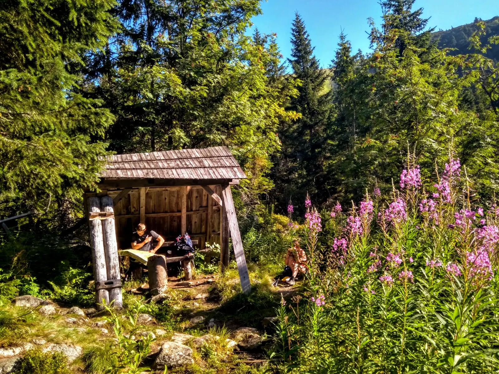 Tatry. Tatry Zachodnie. Główna grań Tatr. Szczyty Tatr. Bystra. Najwyższy szczyt Tatr Zachodnich. Bystra wejście od strony słowackiej. Lato w Tatrach. Łatwe szczyty w Tatrach.