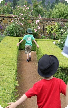 IMG_2980 (Large)