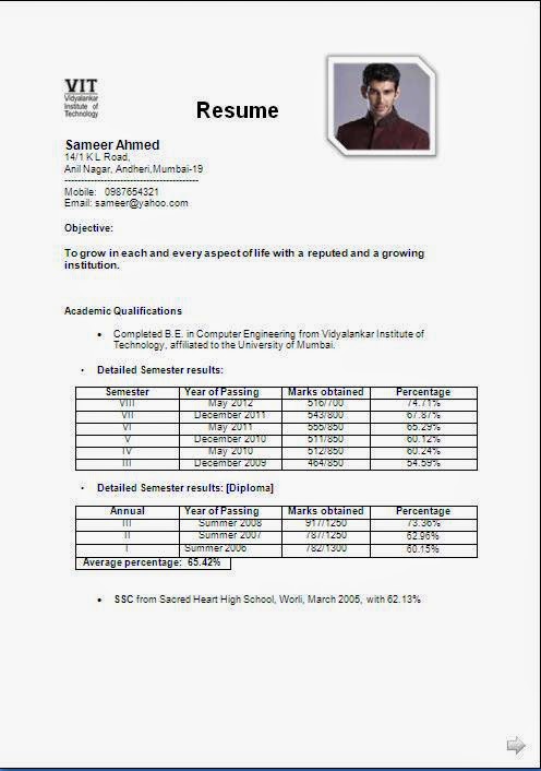 curriculum vitae student example