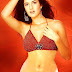 Katrina Kaif Hot and Sexy Images