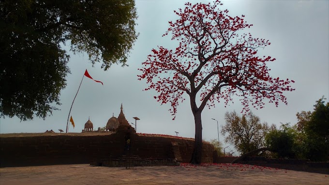 Sacred Tree at Khandwa