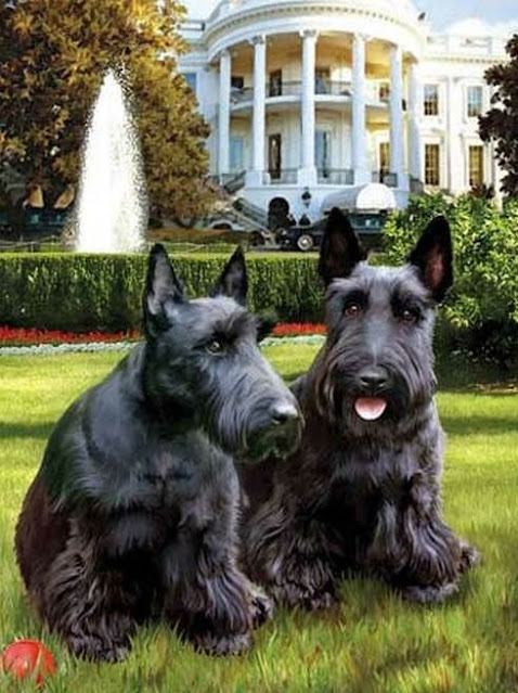 Presidential Pets features former President George Bush's dogs on a jigsaw puzzle.