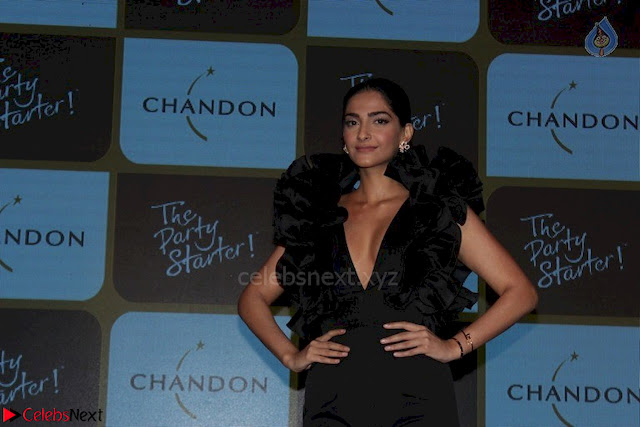 sonam kapoor at chandon the party starter 3rd March 2017 011.jpg