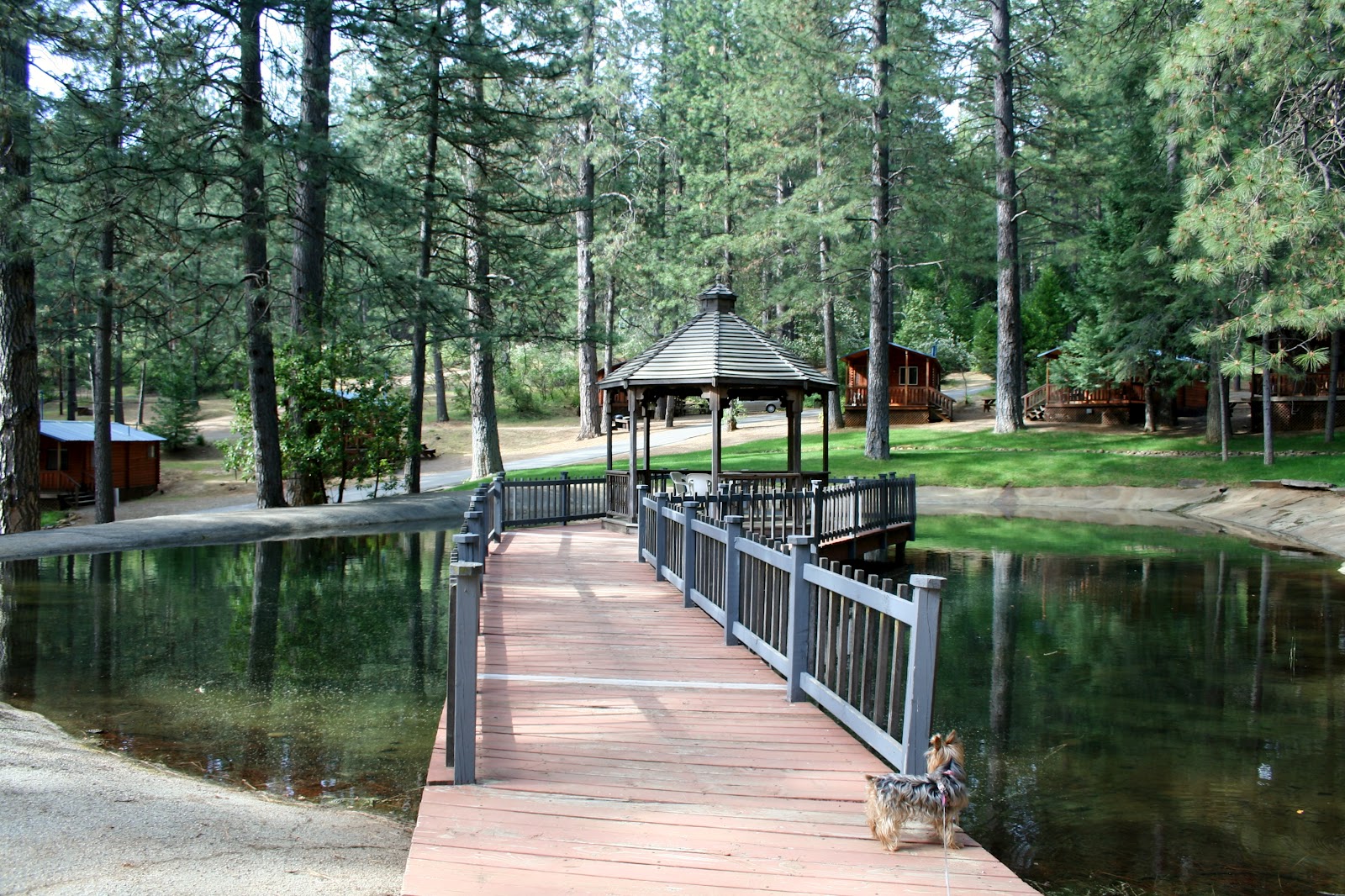 Gazebos In The Middle Of Ponds | Bedroom Interiors Photos