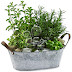 How To Create A Herb Garden