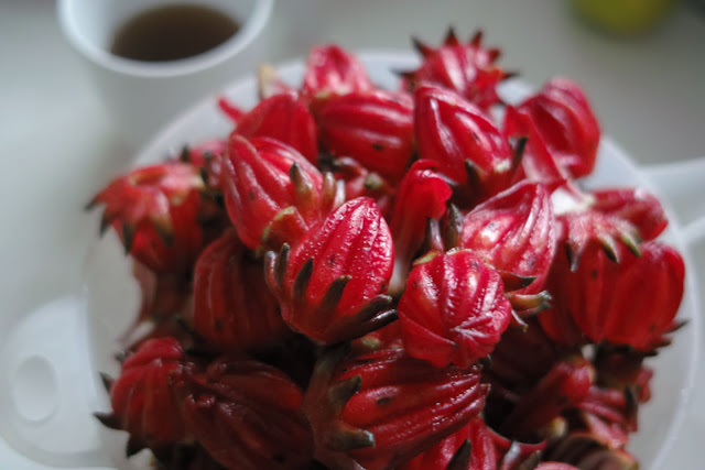 洛神花茶（芙蓉花茶，Hibiscus Tea）