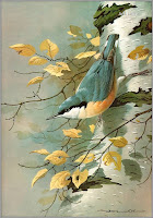 Bird Paintings