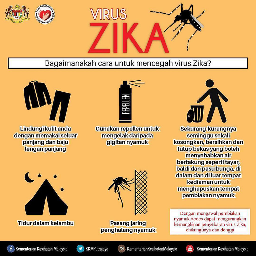 DENGGI DAN ZIKA YANG MANA LEBIH MERBAHAYA  Dkna Abza