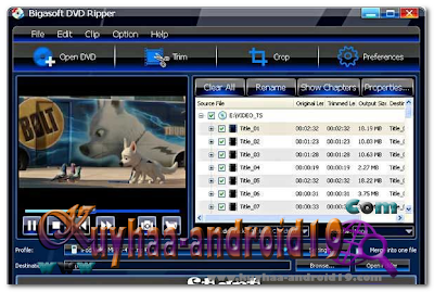 BIGASOFT DVD RIPPER 3.1.8.4694 FINAL