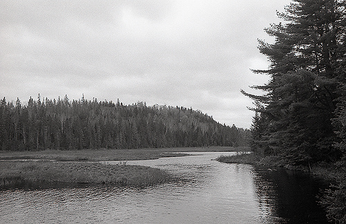 Algonquin Provincial Park