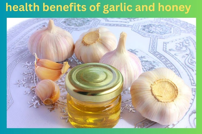 Health Benefits of Garlic and Honey Unveiling the Healing Harmony