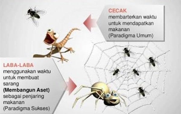 cara bisnis cicak atau laba-laba