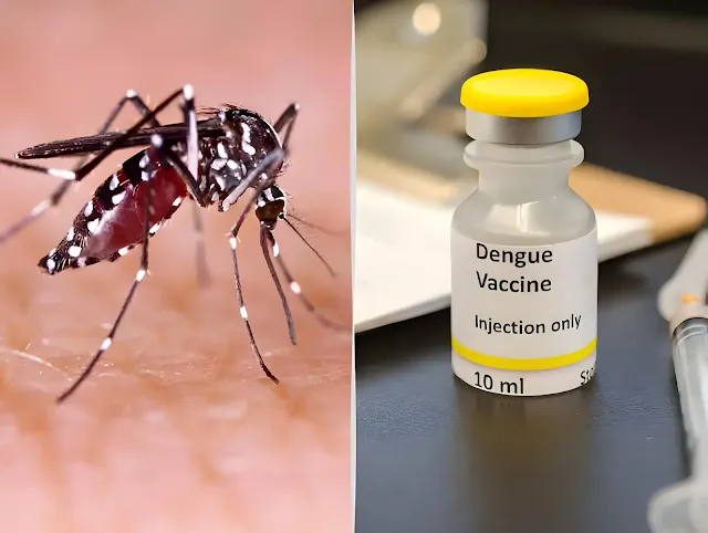 Dengue vaccination Brazil