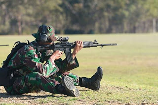 Tentara Nasional Indonesia