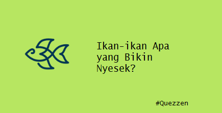 Ikan-ikan Apa yang Bikin Nyesek?