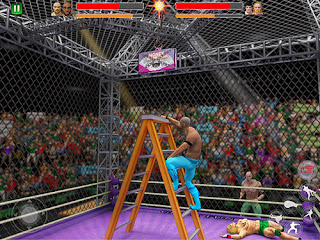 Cage Wrestling Revolution: Ladder Match Fighting Mod APK (unlimited Money)