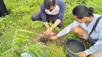 Mahasiswa KKN Universitas Hamzanwadi Selong Tanam Pohon di Kawasan Sunrise Land Lombok