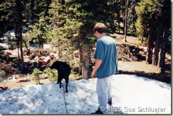 Joe and Sadie playing in snow in Yellowstone - Copy