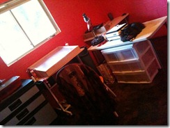 dragon fruit studio
