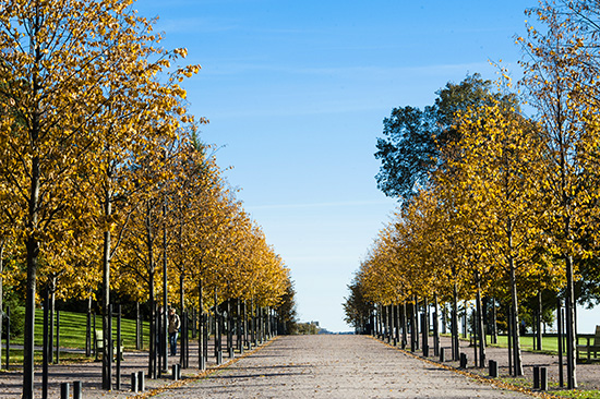 Kaivopuiston promenadi.