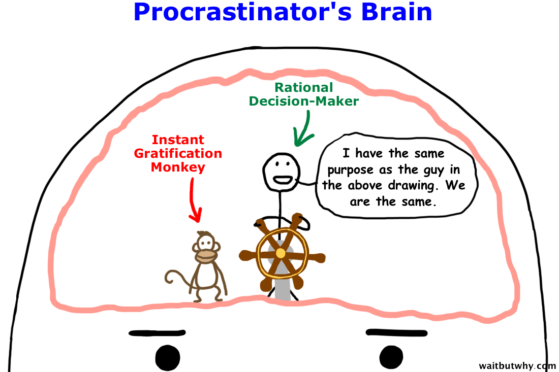 Why Procrastinators Procrastinate Wait But Why