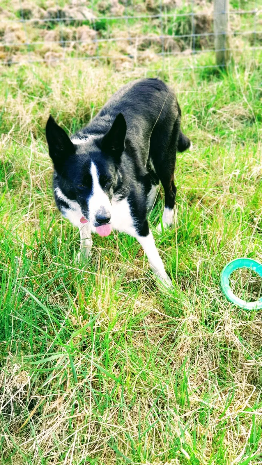 A Walk Around Gedling Country Park: Link Up