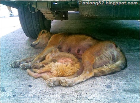 03012010(003))Asiong32