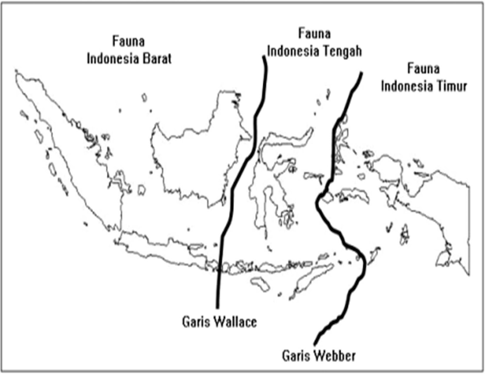 GEOGRAFI IWAN PERSEBARAN FLORA  DAN FAUNA DI  INDONESIA