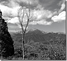 Garden of the gods CO Sprngs 042 B&W