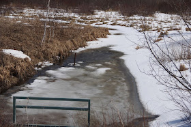 local ponds slowly thaw