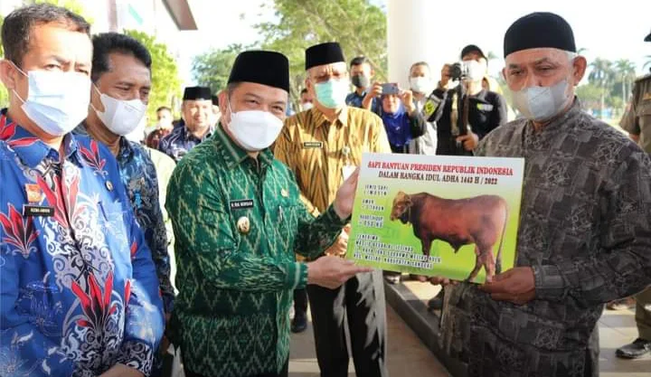 Bantuan Sapi Limosin