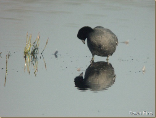 digiscoping class with clay (6)