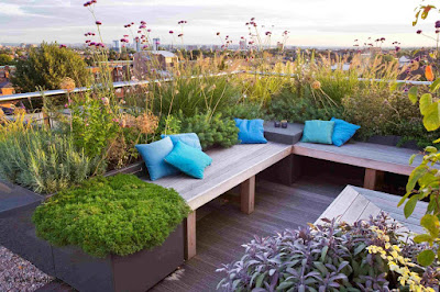 Rooftop Garden Minimalis