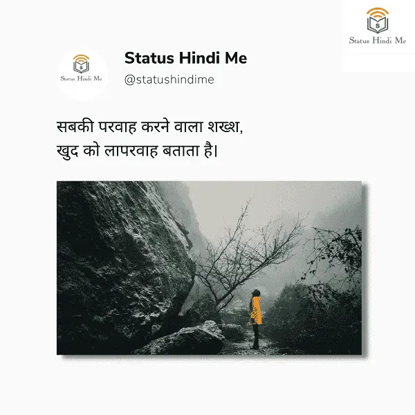 Attitude Status in Hindi