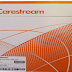 Film Carestream 24x30