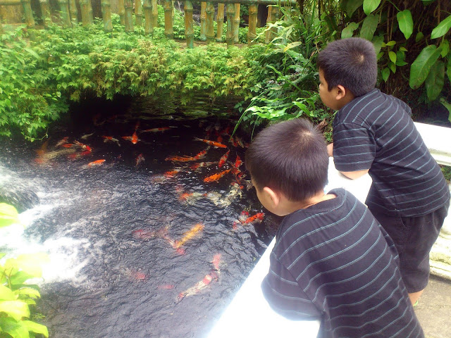 KL Butterfly Park